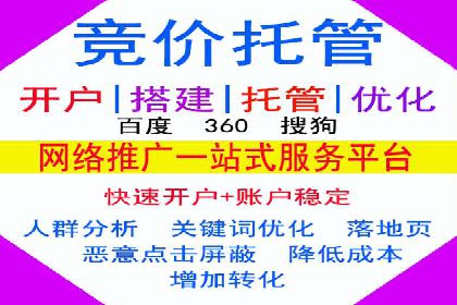 SEM服务托管实战案例：数据驱动营销